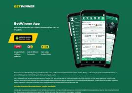 Exploring Betting Options Betwinner in Detail